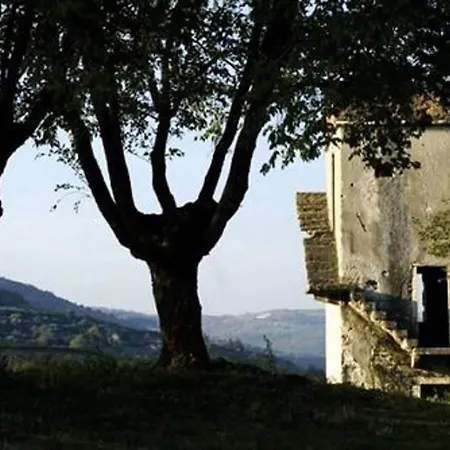 Tenuta Delo Relais Lantgård